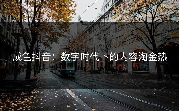 成色抖音：数字时代下的内容淘金热